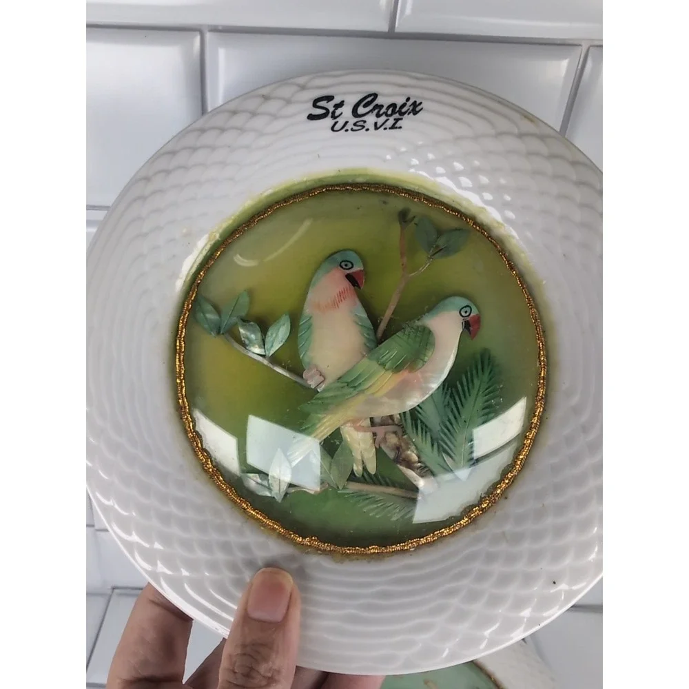 Vintage St. Croix Set Of 3 Plates Souvenir 3D Bubble Glass Mother Of Pearl Birds